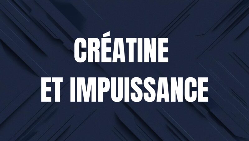 creatine et erection