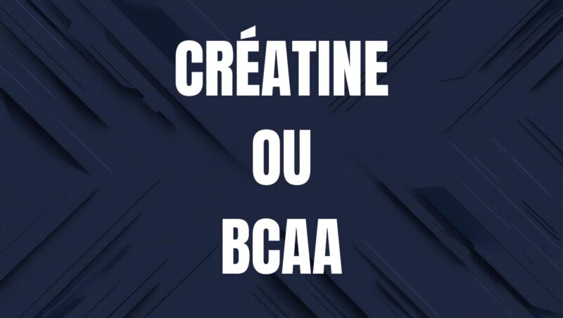 creatine ou bcaa