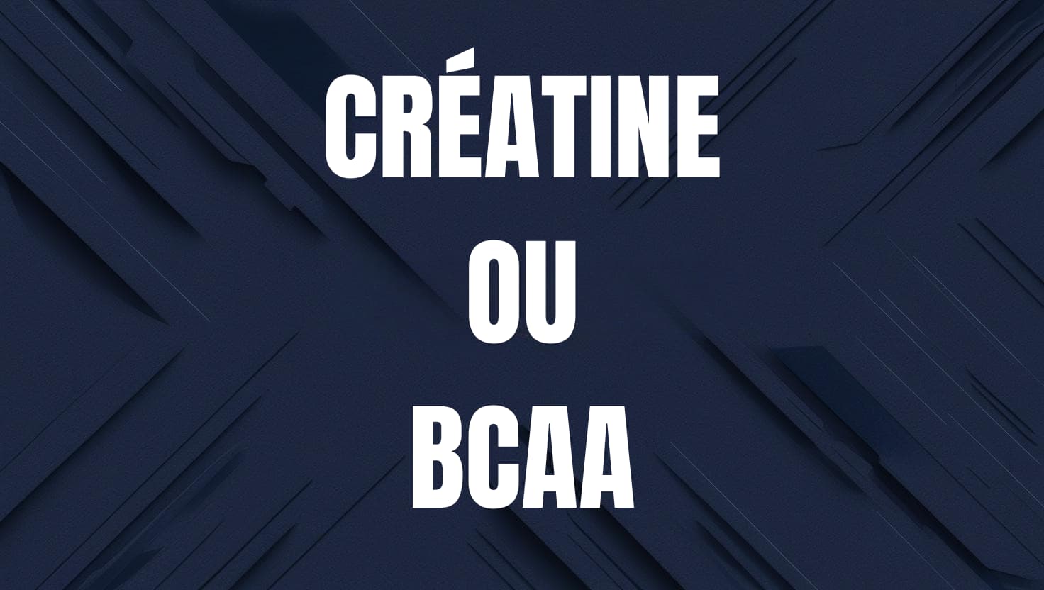 creatine ou bcaa