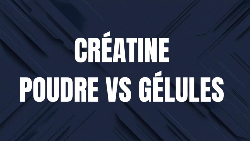 creatine en poudre ou gelule