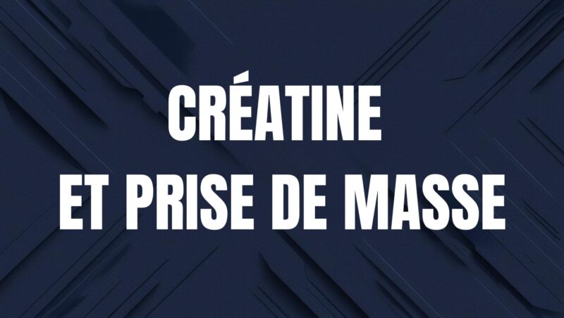 creatine et prise de masse