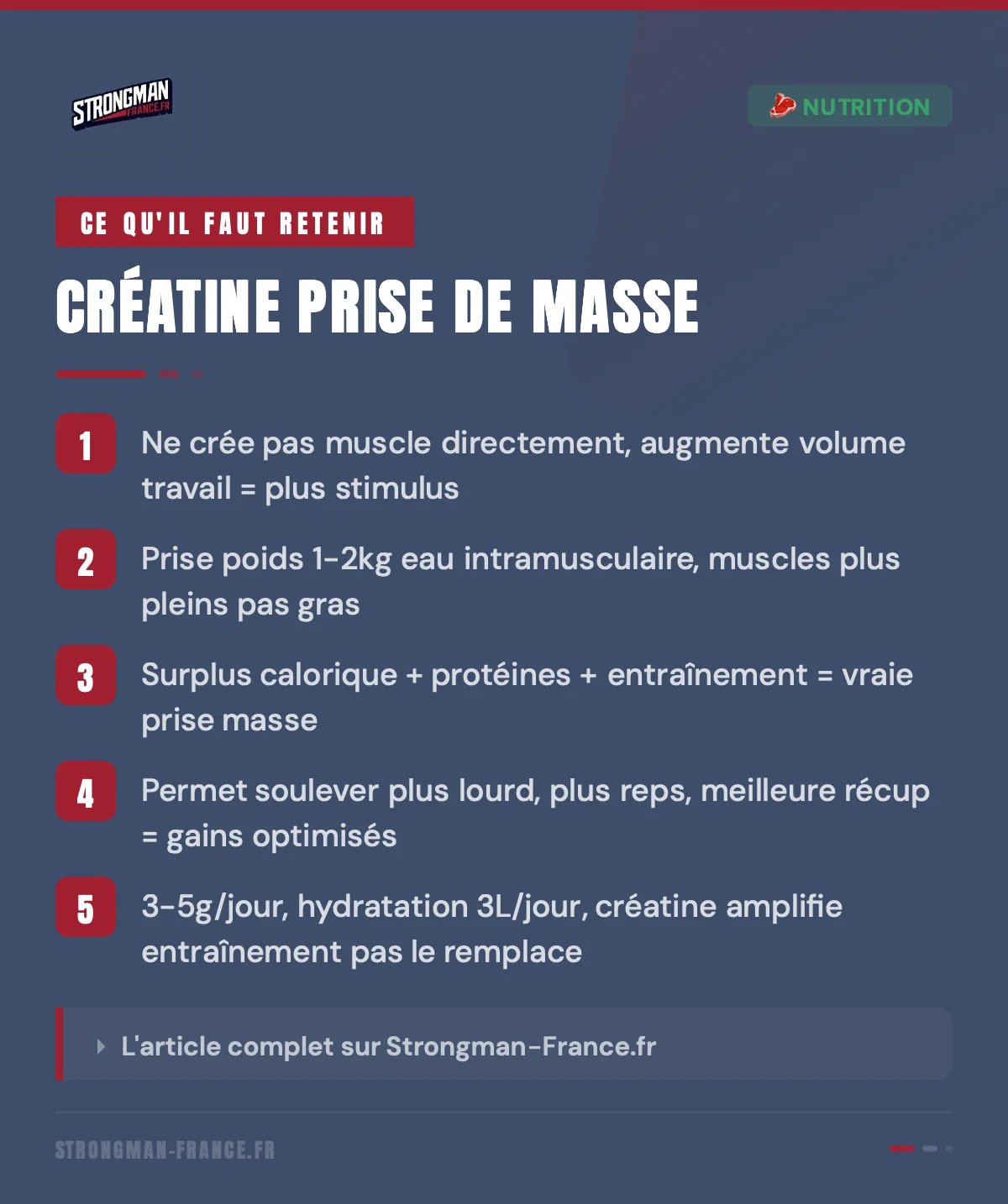 infographie sur la creatine et la prise de masse
