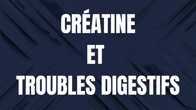 creatine et troubles digestifs