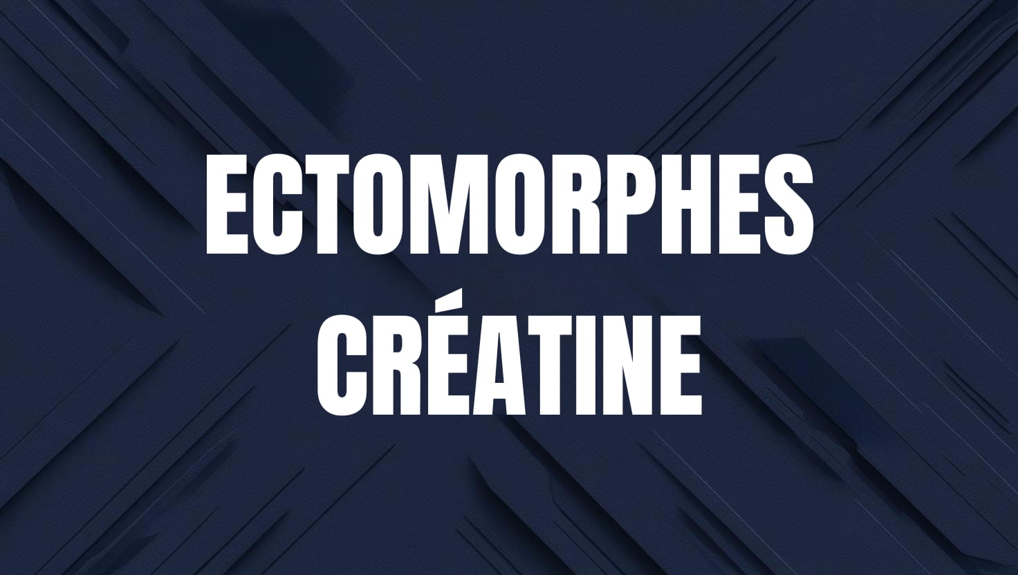 ectomorphes creatine
