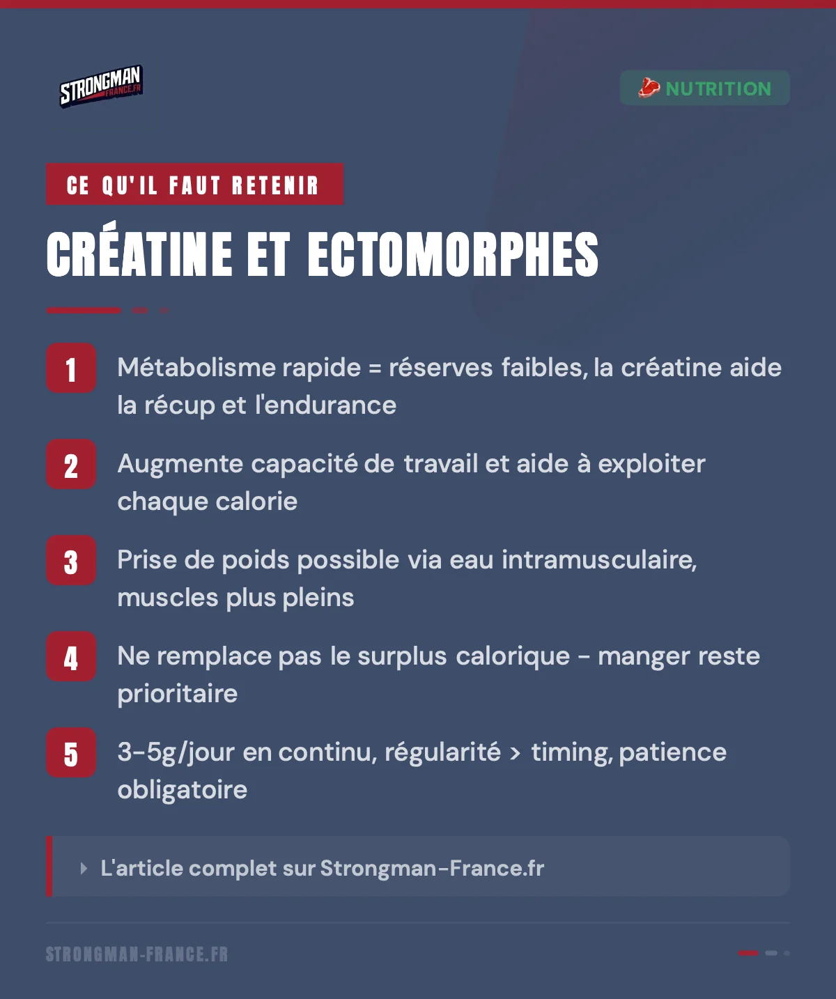 infographie pour montrer les avantages de la creatine pour les ectomorphes